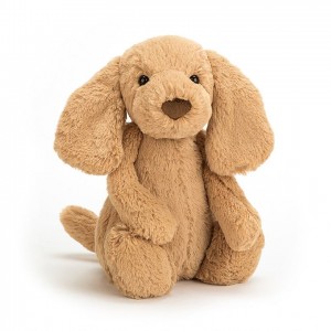 Jellycat Bashful Toffee Puppy Medium | 021978-KZS