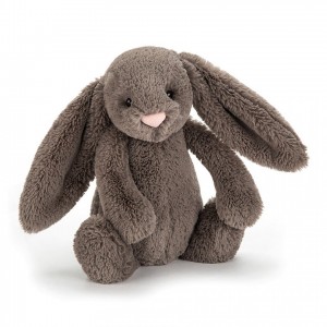 Jellycat Bashful Truffle Bunny Tiny | 205831-PID