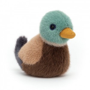 Jellycat Birdling Mallard | 257694-YMP