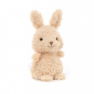 Jellycat Little Bunny | 290618-YIV