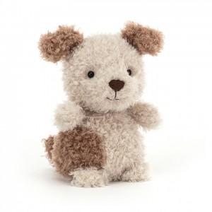 Jellycat Little Pup | 438562-IZH