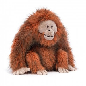 Jellycat Oswald Orangutan | 371506-VFJ