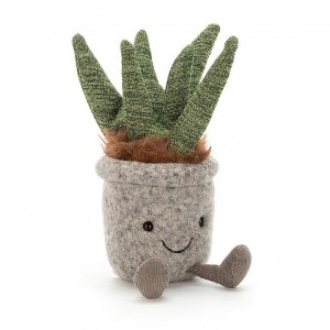 Jellycat Silly Succulent Aloe | 842076-IDW