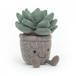 Jellycat Silly Succulent Azulita | 285719-DAX