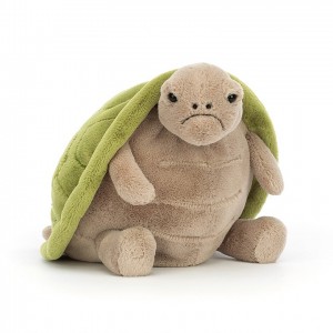 Jellycat Timmy Turtle | 219546-PCA