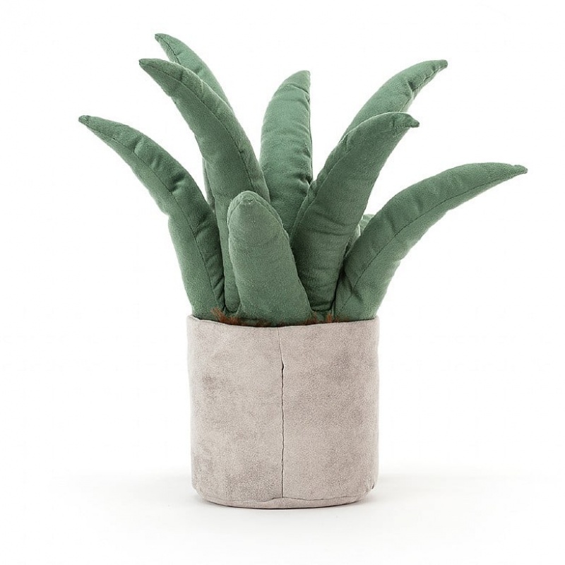 Jellycat Amuseable Aloe Vera | 341596-HDY