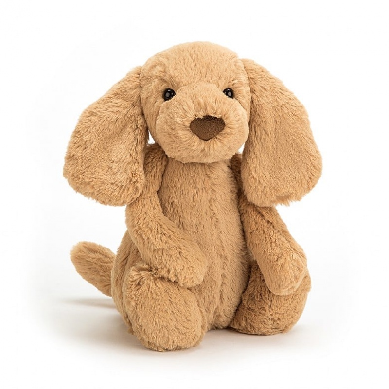 Jellycat Bashful Toffee Puppy Medium | 316852-HSA