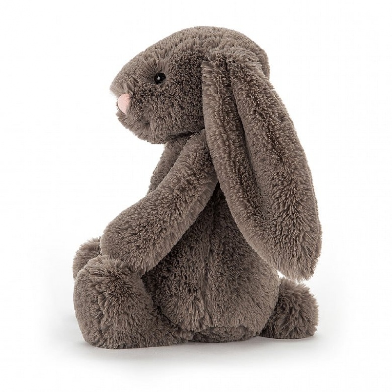 Jellycat Bashful Truffle Bunny Tiny | 205831-PID