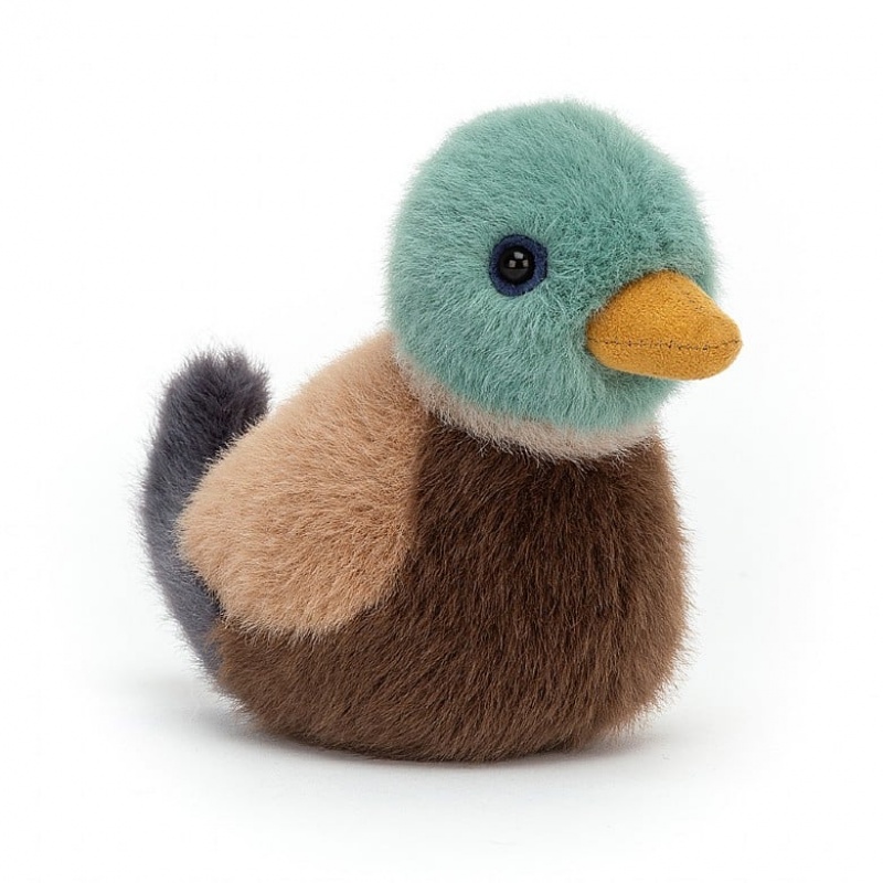 Jellycat Birdling Mallard | 679438-JWN