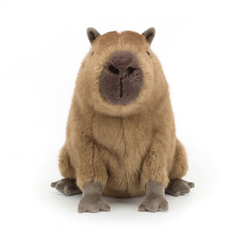 Jellycat Clyde Capybara | 128079-HPA