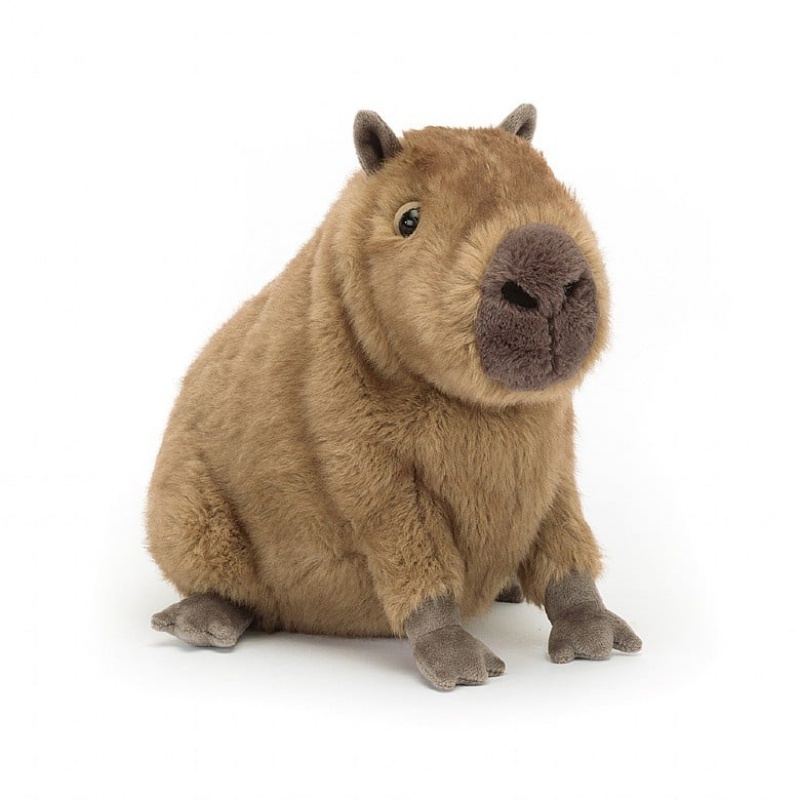 Jellycat Clyde Capybara | 762541-IOE