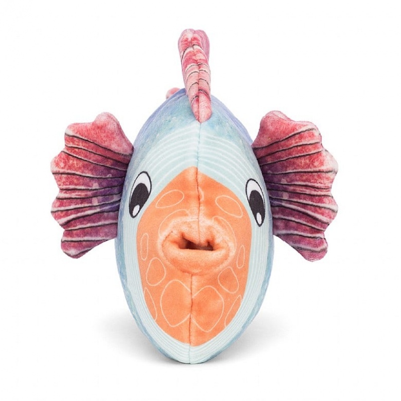 Jellycat Fishiful Blue | 407896-FUN