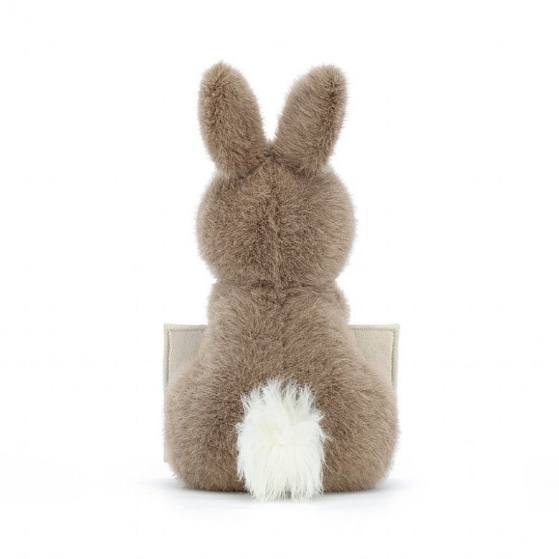 Jellycat Messenger Bunny | 038724-FBY