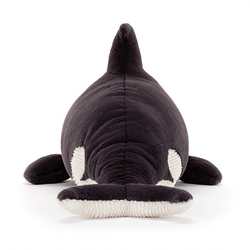 Jellycat Ollivander the Orca | 281640-VUB