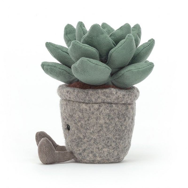 Jellycat Silly Succulent Azulita | 285719-DAX