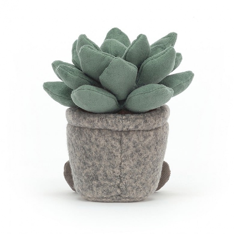 Jellycat Silly Succulent Azulita | 285719-DAX