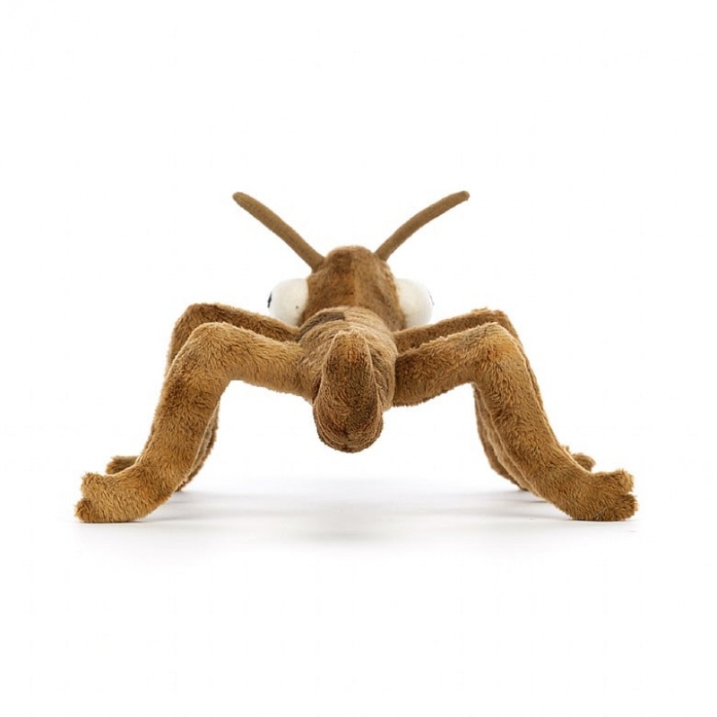 Jellycat Stanley Stick Insect | 287460-KXP